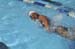 20090704-BAFvsCPW-312170