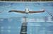 20090704-BAFvsCPW-690401