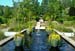 20080720_MeirovichFamily_0144